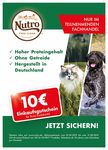 Unterschiedliche F&uuml;tterungsmethoden von Hund und Katze - Heimtier-Journal