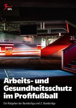 Arbeits- und Gesundheitsschutz im Profi fußball - Ein Ratgeber der Bundesliga und 2. Bundesliga - DFL