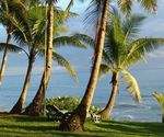 Paraíso Tropical 2023 - COSTA RICA - Papaya Tours