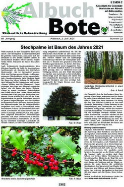 Stechpalme ist Baum des Jahres 2021