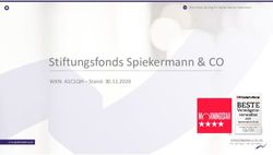 Stiftungsfonds Spiekermann & CO - WKN: A1C1QH - Stand: 30.11.2020 - Spiekermann AG