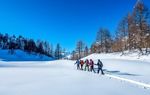NEU: Schneeschuhtouren Bergün - BergundTal