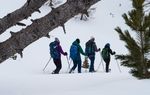 NEU: Schneeschuhtouren Bergün - BergundTal