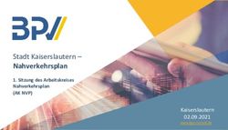 Stadt Kaiserslautern-Nahverkehrsplan 1. Sitzung des Arbeitskreises Nahverkehrsplan (AK NVP)