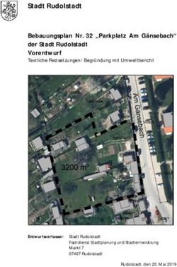 Stadt Rudolstadt Bebauungsplan Nr. 32 "Parkplatz Am G&auml;nsebach" der Stadt Rudolstadt Vorentwurf Textliche Festsetzungen/ Begr&uuml;ndung mit Umweltbericht