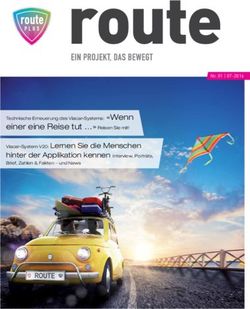 Einer eine Reise tut " Reisen Sie mit! - Technische Erneuerung des Viacar-Systems: " Wenn - Mark van Huisseling