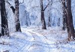 Wir stellen uns vor - Naturfreunde Herzogenbuchsee