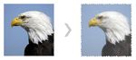 Schnellstarthandbuch - Corel Corporation