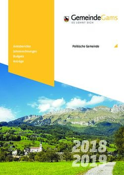 2018 Amtsberichte Jahresrechnungen Budgets Anträge - Gemeinde Gams