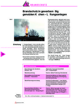 Brandschutz in gewerbsmäßig genutzten Küchen - Lüftungsanlagen