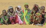 Tschad: Gerewol-Fest & Naturwunder in der südlichen Sahara - Kneissl Touristik