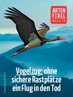 Vogelzug: ohne sichere Rastpl&auml;tze ein Flug in den Tod - ARTEN FIBEL