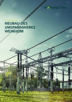 NEUBAU DES UMSPANNWERKS WEINHEIM - TransnetBW ...