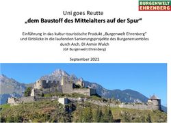 "dem Baustoff des Mittelalters auf der Spur" - Uni goes Reutte - Burgenwelt Ehrenberg
