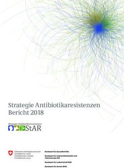 Strategie Antibiotikaresistenzen Bericht 2018 - BLV