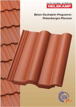 Beton-Dachstein-Programm: Finkenberger-Pfannen