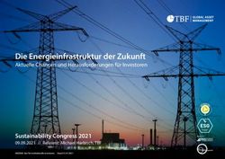 Die Energieinfrastruktur der Zukunft - Aktuelle Chancen und Herausforderungen f&uuml;r Investoren - Sustainability Congress
