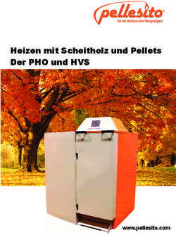 Heizen mit Scheitholz und Pellets Der PHO und HVS - www.pellesito.com