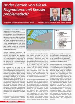 Ist der Betrieb von Diesel-Flugmotoren mit Kerosin problematisch?