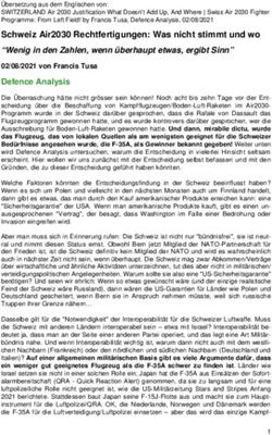 Schweiz Air2030 Rechtfertigungen: Was nicht stimmt und wo "Wenig in den Zahlen, wenn &uuml;berhaupt etwas, ergibt Sinn"