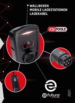 WALLBOXEN MOBILE LADESTATIONEN LADEKABEL