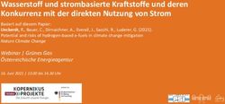 Wasserstoff und strombasierte Kraftstoffe und deren Konkurrenz mit der direkten Nutzung von Strom