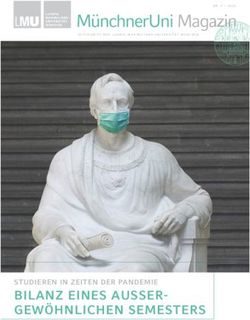 BILANZ EINES AUSSER-GEWÖHNLICHEN SEMESTERS - STUDIEREN IN ZEITEN DER PANDEMIE - LMU ...