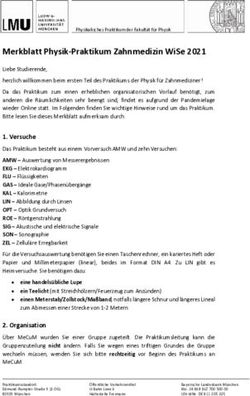 MERKBLATT PHYSIK-PRAKTIKUM ZAHNMEDIZIN WISE 2021