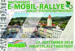 E-MOBIL-RALLYE 27. SEPTEMBER 2018 HAUPTPLATZ FREISTADT - Energiebezirk Freistadt