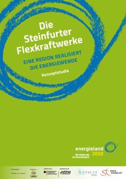 DIE ENERGIEWENDE - NOW GmbH