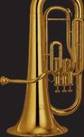 Brassweek Samedan, 30. Juni bis 6. Juli 2019 - Meisterkurs und Konzertgenuss auf höchstem Niveau mit internationalen Dozenten der Brass-Szene