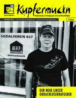 DER NEUE LINZER OBDACHLOSENRATGEBER - 3 Euro