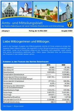 Amts- und Mitteilungsblatt - Markt Babenhausen