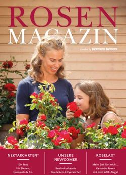 ROSEN MAGAZIN - NEKTARGARTEN UNSERE - Kordes Rosen