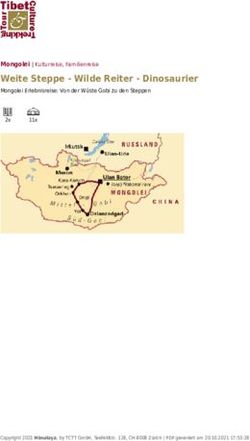 Weite Steppe - Wilde Reiter - Dinosaurier - Mongolei | Kulturreise, Familienreise - TCTT Himalaya