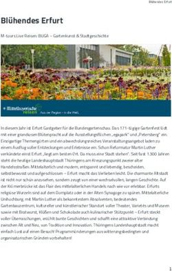 Bl&uuml;hendes Erfurt - Mittelbayerische-reisen