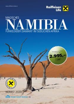 MAGISCHES NAMIBIA FUNKELNDER DIAMANT IM SÜDLICHEN AFRIKA