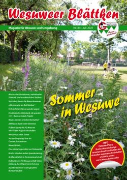 Wesuweer Bl&auml;ttken Magazin f&uuml;r Wesuwe und Umgebung - Werbegemeinschaft Wesuwe