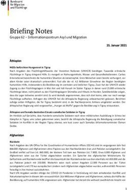 Briefing Notes Gruppe 62 - Informationszentrum Asyl und Migration - BAMF