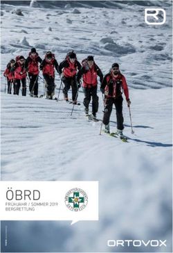 &Ouml;BRD FR&Uuml;HJAHR / SOMMER 2019 BERGRETTUNG