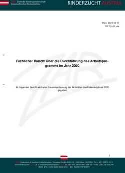Fachlicher Bericht &uuml;ber die Durchf&uuml;hrung des Arbeitspro-gramms im Jahr 2020