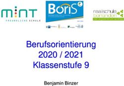 Berufsorientierung 2020 / 2021 Klassenstufe 9 - Benjamin Binzer - Realschule Bonlanden