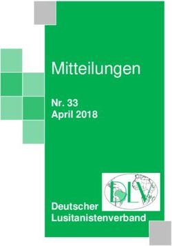 Mitteilungen Nr. 33 April 2018 Deutscher Lusitanistenverband