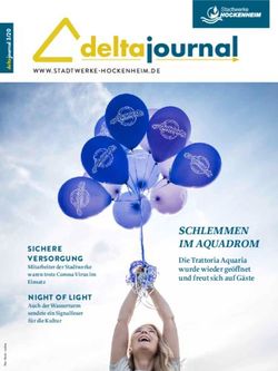 Deltajournal - Stadtwerke Hockenheim