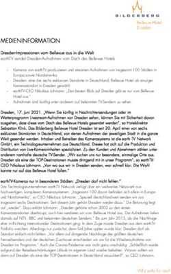 MEDIENINFORMATION Dresden-Impressionen vom Bellevue aus in die Welt earthTV sendet Dresden-Aufnahmen vom Dach des Bellevue Hotels