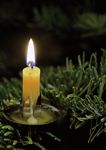 Gemeindebrief 12/2019 01/2020 - Forum der Evangelischen Kirchengemeinde Moers-Asberg - Host Europe