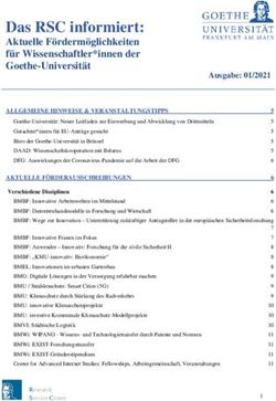 Das RSC informiert: Aktuelle Fördermöglichkeiten für Wissenschaftler*innen der Goethe-Universität - Goethe-Universität Frankfurt