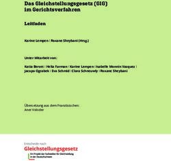 DAS GLEICHSTELLUNGSGESETZ (GLG) IM GERICHTSVERFAHREN