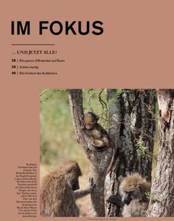 IM FOKUS UND JETZT ALLE! - MAX-PLANCK-GESELLSCHAFT