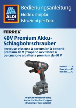 40V Premium Akku-Schlagbohrschrauber